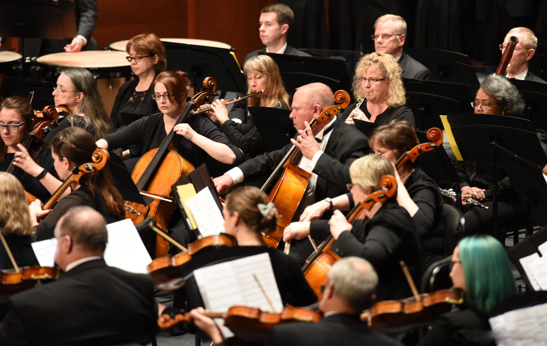 MSO by Ginger Carroll 1.jpg